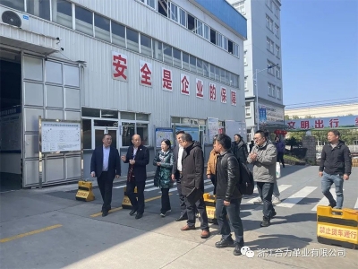 麗水市市場監督管理局、浙江省皮革廠行業協會、嘉興學院及浙江省標準化研究院領導蒞臨我司指導工作